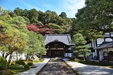 beautiful gardens in Kyoto Japan