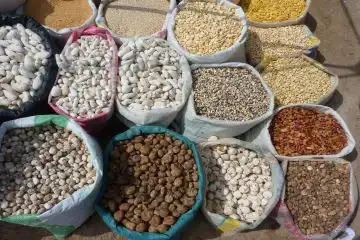 Lima Peru culinary capital
