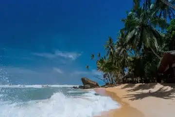 beaches of Lamu Island Kenya